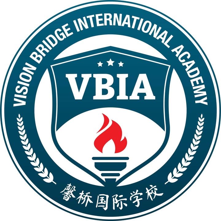 Vision Bridge International Academy logo